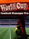 game pic for Football Manager World Cup